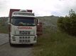 Transports d'animaux vivants