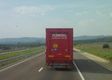 Transports d'animaux vivants en route