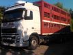 Transports d'animaux vivants