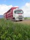 transhumance
